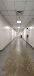 Pantech Business Hub (D5), Factory #498545501